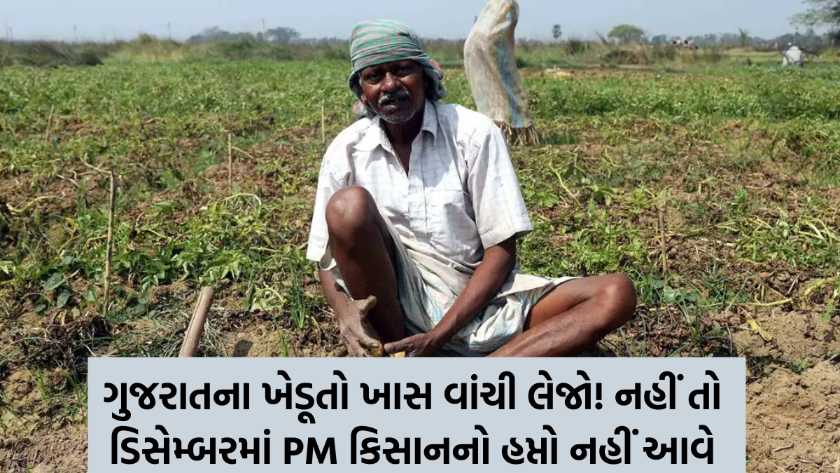 Special News For Gujarat Farmers